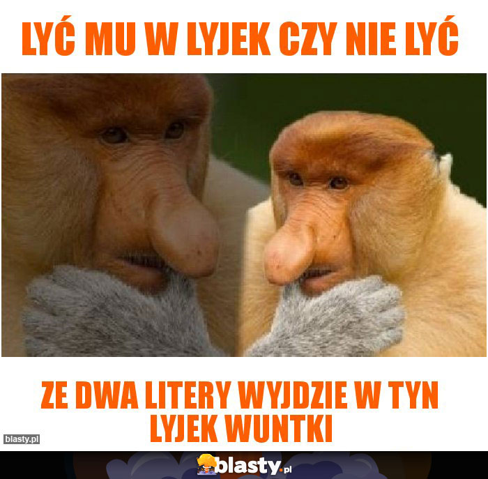 Lyć mu w Lyjek czy nie lyć