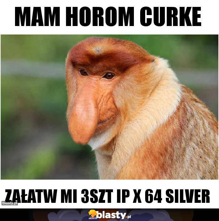 MAM HOROM CURKE
