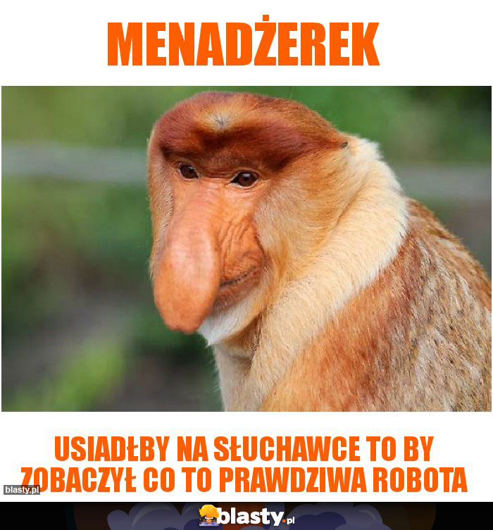 MENADŻEREK