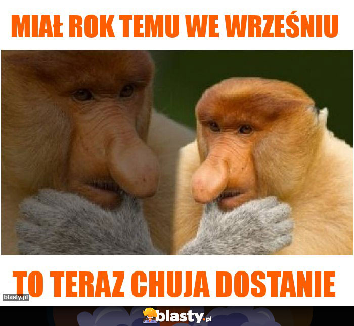 Miał rok temu we wrześniu