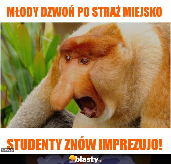 Młody dzwoń po straż miejsko