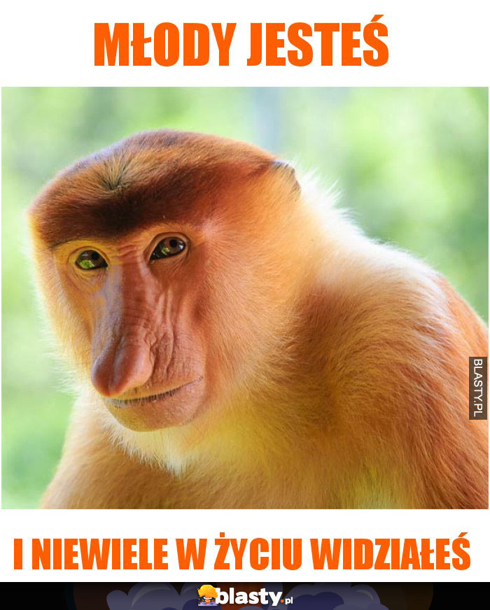 Młody jesteś Młody jesteś