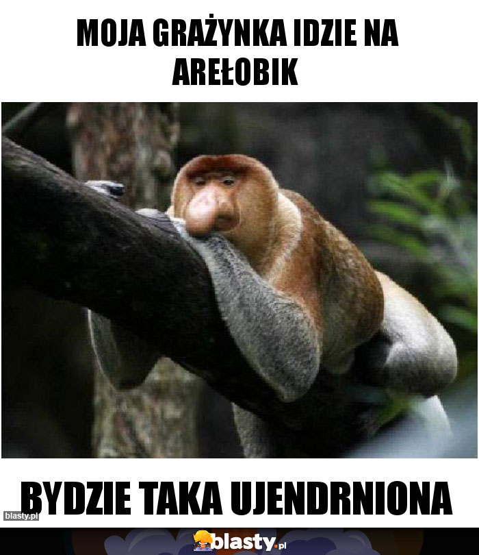 Moja Grażynka idzie na arełobik Moja Grażynka idzie na arełobik