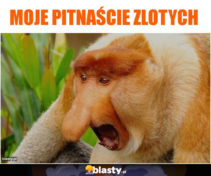 MOJE PITNAŚCIE ZLOTYCH