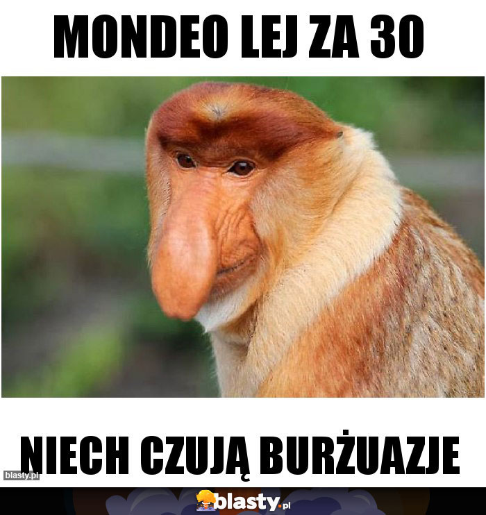 Mondeo lej za 30