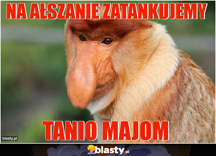 Na Ałszanie zatankujemy