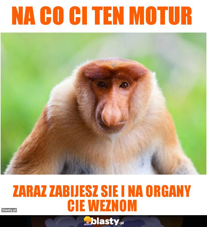 Na co ci ten motur Na co ci ten motur