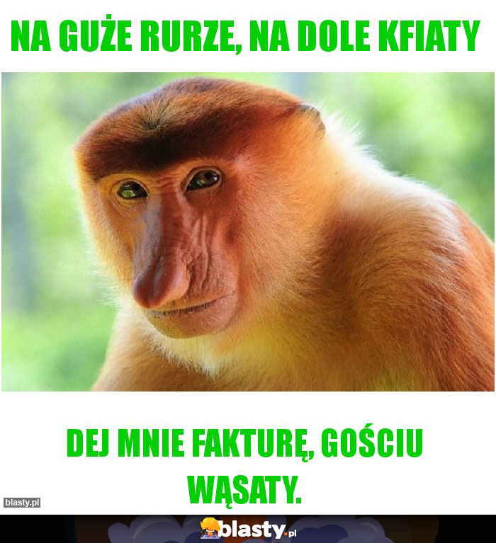 Na guże rurze, na dole kfiaty Na guże rurze, na dole kfiaty