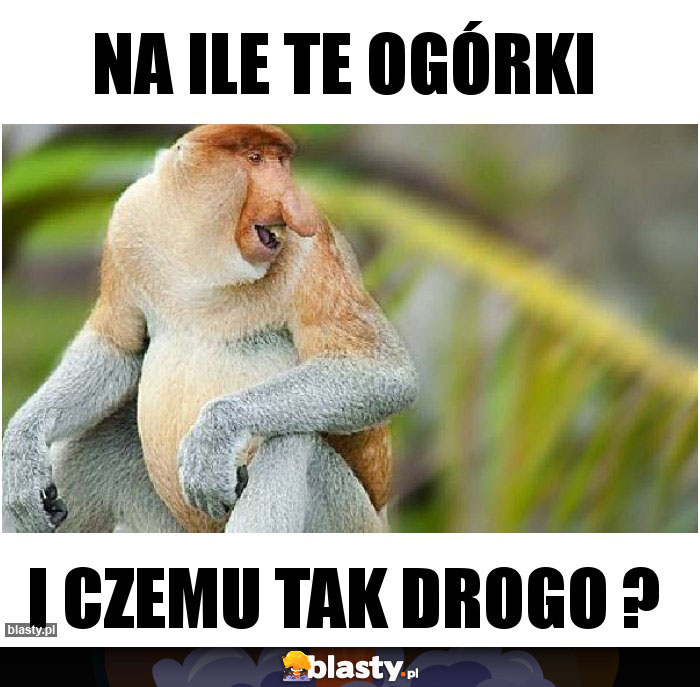 NA ILE TE OGÓRKI