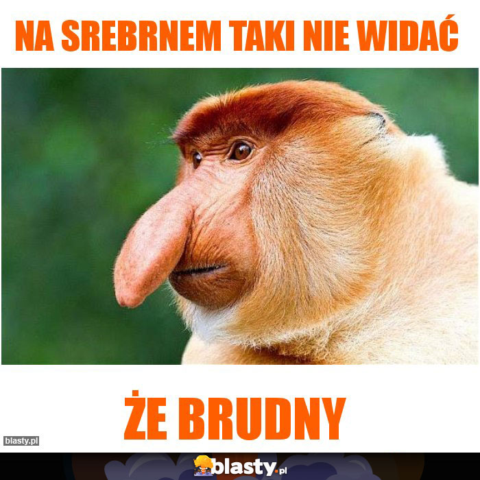 Na srebrnem taki nie widać Na srebrnem taki nie widać