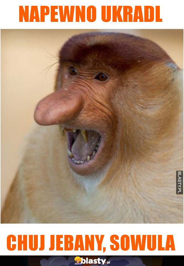 Napewno Ukradl