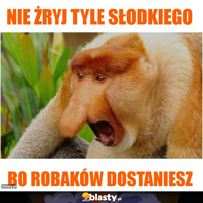 Nie żryj tyle słodkiego Nie żryj tyle słodkiego