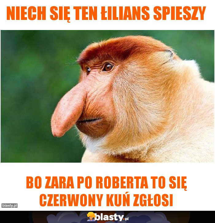 Niech się ten Łilians spieszy