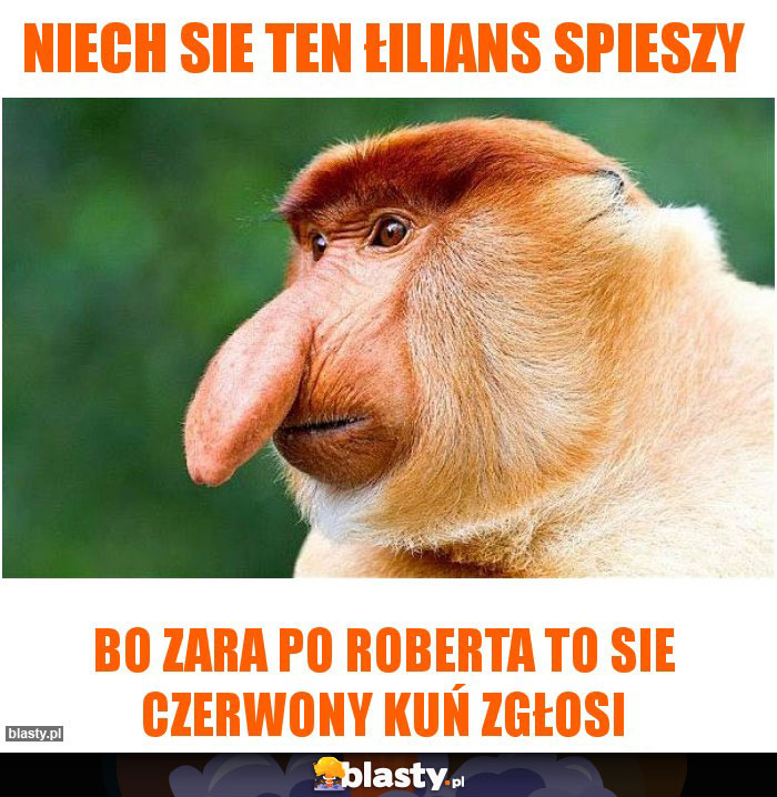 Niech sie ten Łilians spieszy