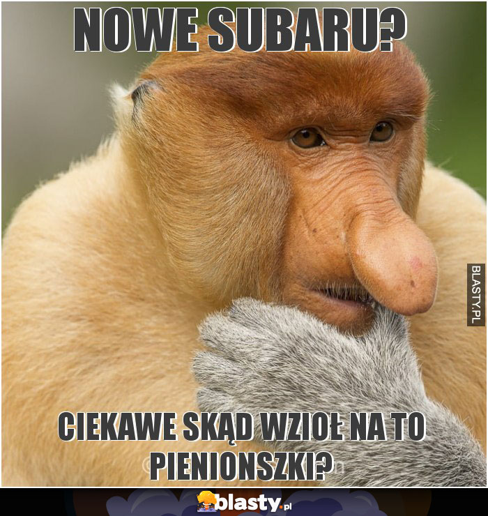 NOWE SUBARU?