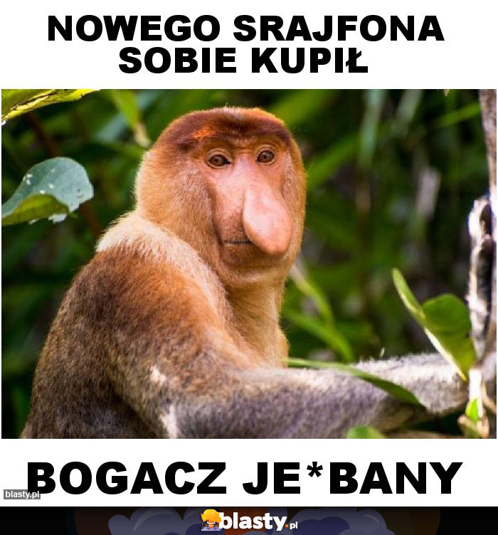 Nowego srajfona sobie kupił