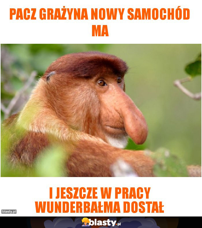 Pacz Grażyna nowy samochód ma