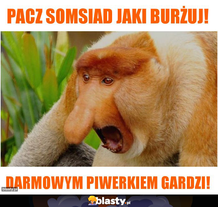 PACZ SOMSIAD JAKI BURŻUJ!