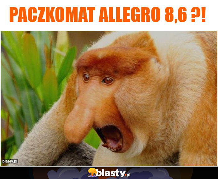 PACZKOMAT aLLEGRO 8,6 ?!