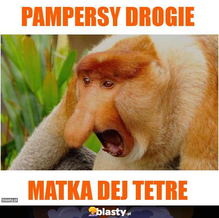 pampersy drogie