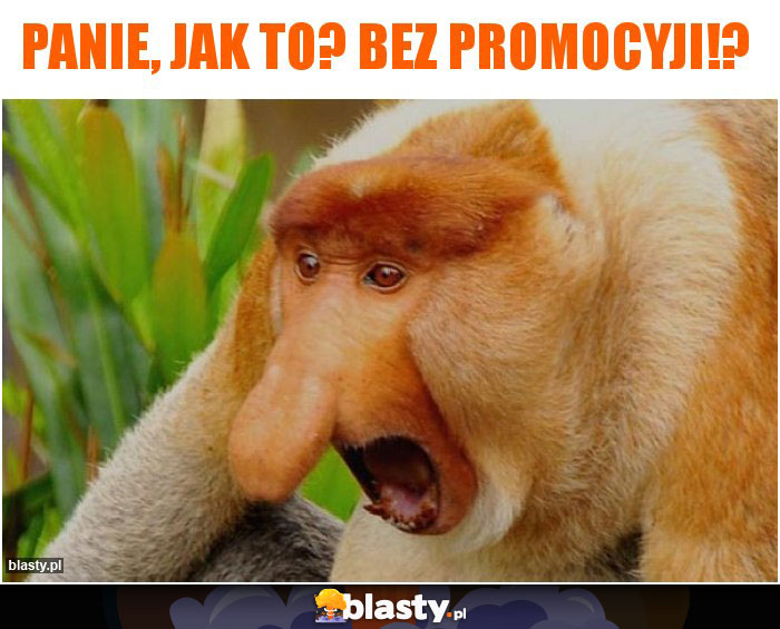 Panie, jak to? Bez promocyji!?