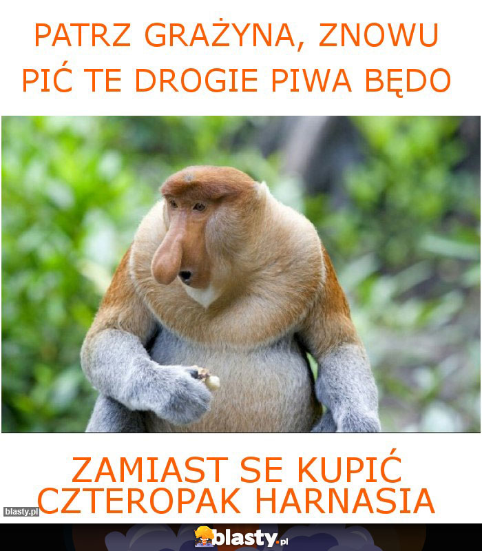 Patrz grażyna, znowu pić te drogie piwa będo