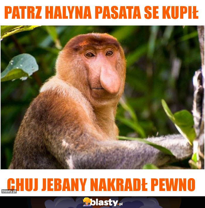 PAtrz Halyna pasata se kupił