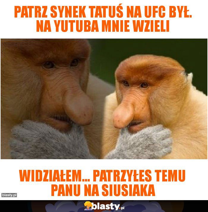 Patrz synek tatuś na ufc był. Na yutuba mnie wzieli