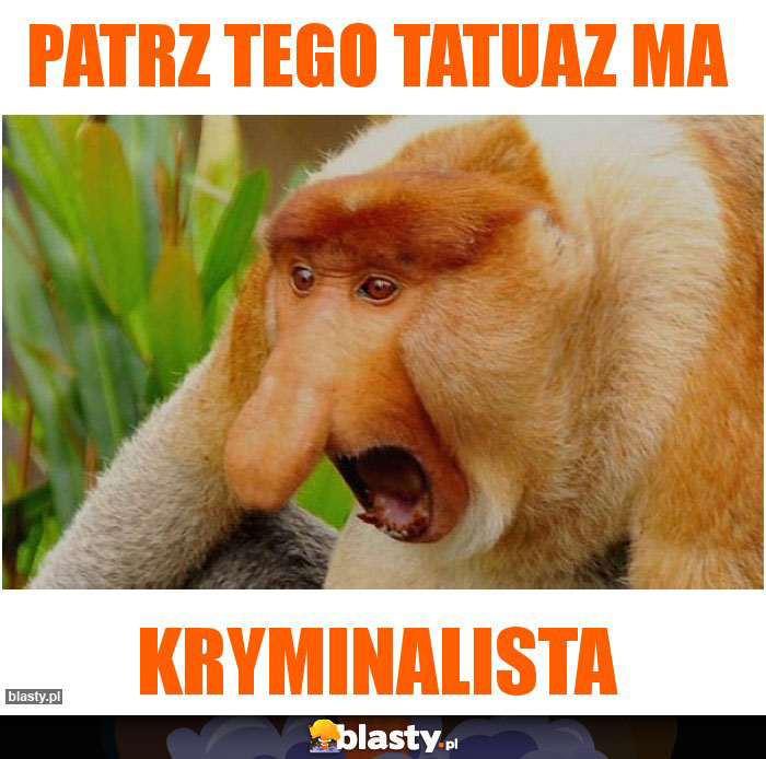 PATRZ TEGO TATUAZ MA