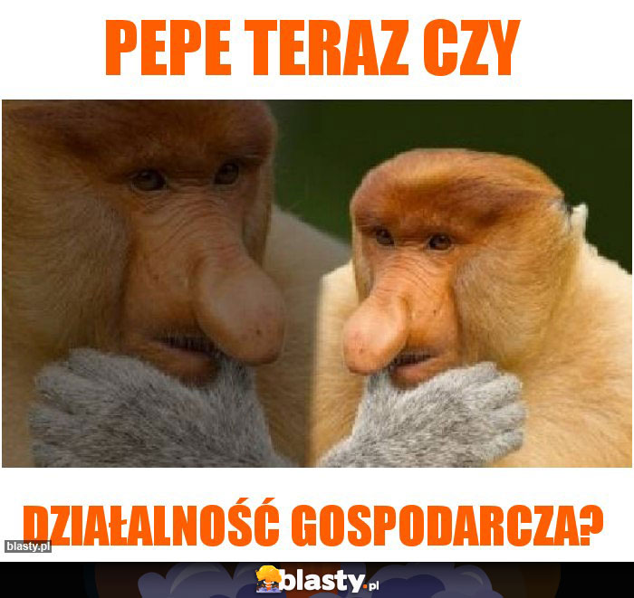 Pepe teraz czy