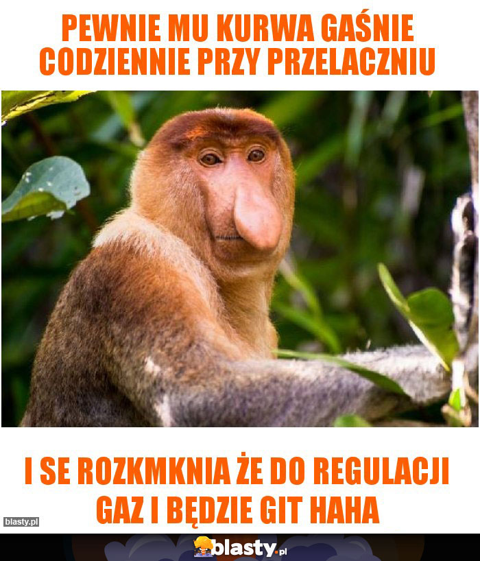Pewnie mu kurwa gaśnie codziennie przy przelaczniu