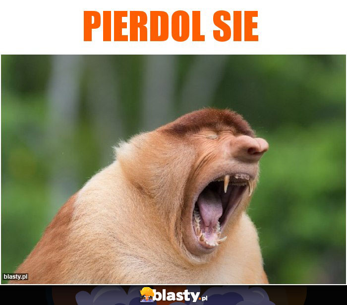 Pierdol Sie
