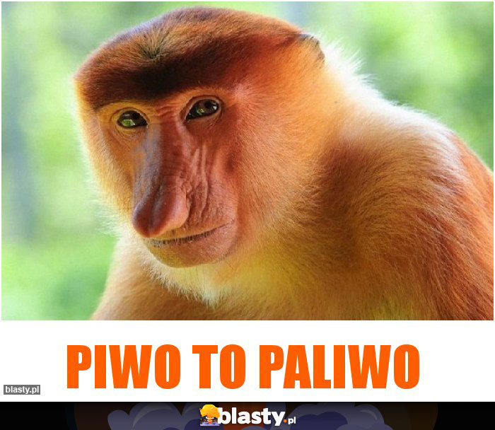 Piwo to paliwo Piwo to paliwo