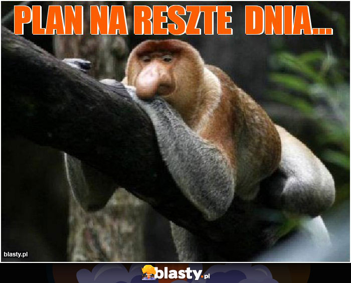 PLAN NA RESZTE  DNIA...