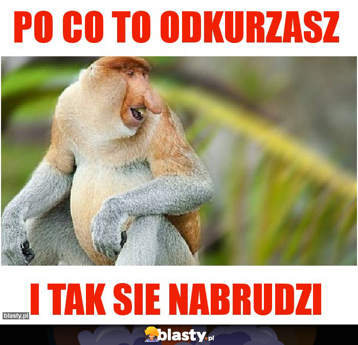 Po co to odkurzasz