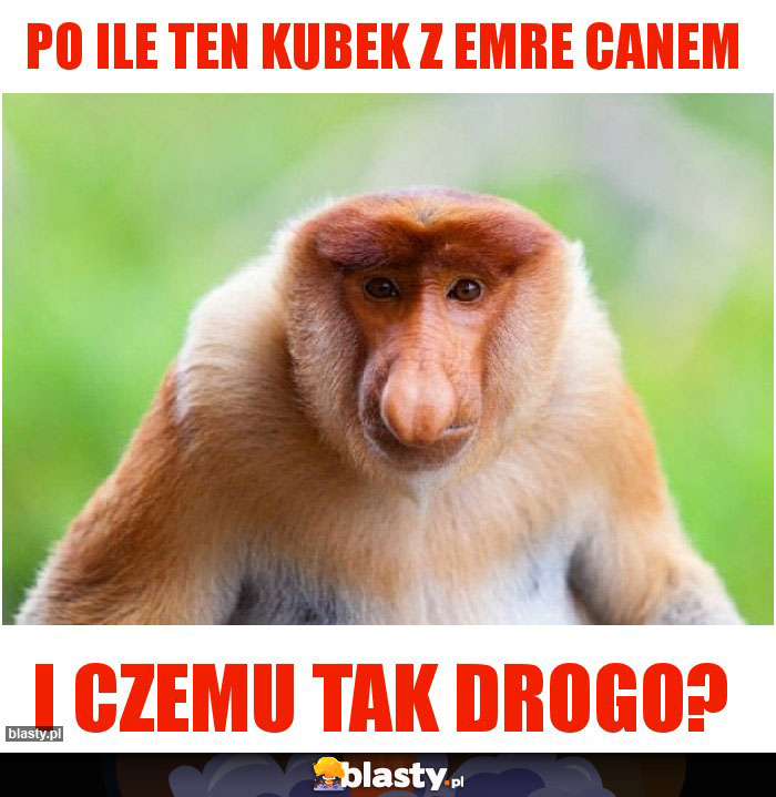 Po ile ten kubek z Emre Canem