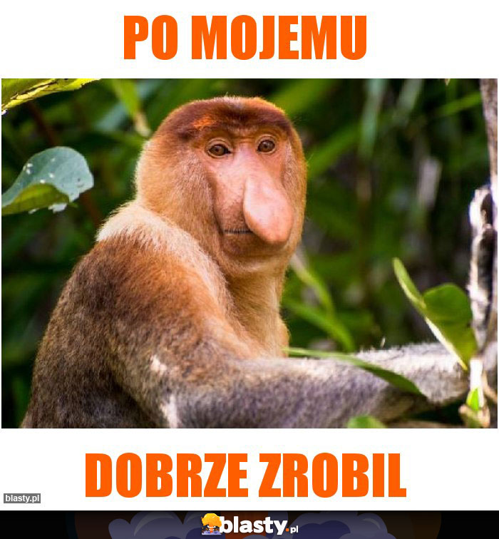 Po mojemu