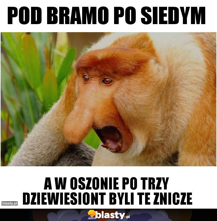 Pod bramo po siedym Pod bramo po siedym