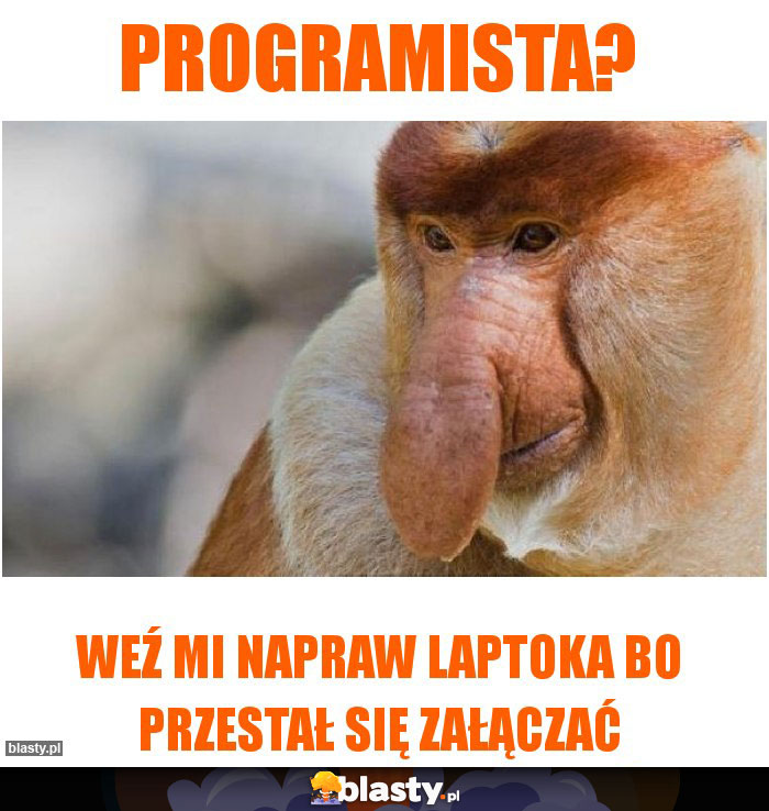 Programista?