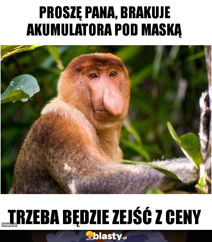 PROSZĘ PANA, BRAKUJE AKUMULATORA POD MASKĄ