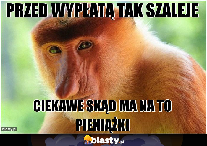 Przed wypłatą tak szaleje Przed wypłatą tak szaleje