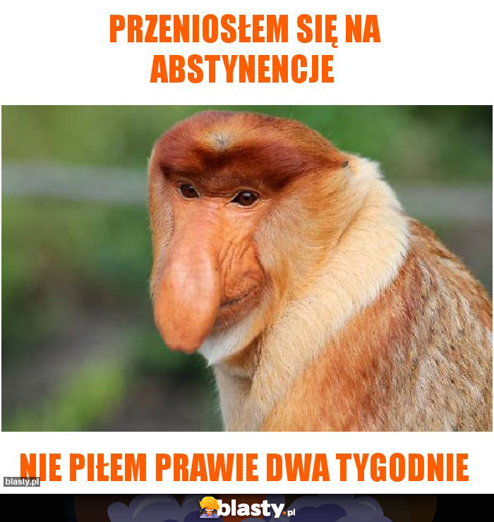 PRZENIOSŁEM SIĘ NA ABSTYNENCJE PRZENIOSŁEM SIĘ NA ABSTYNENCJE