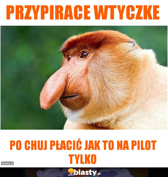 Przypirace wtyczke