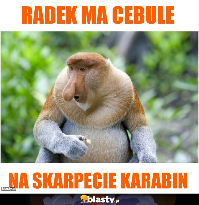 RADEK MA CEBULE