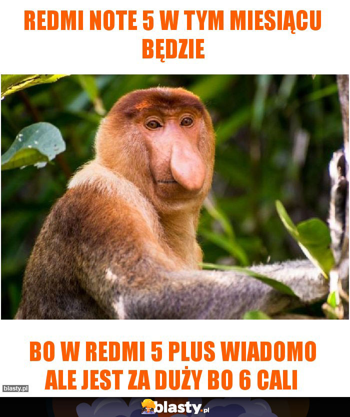 Redmi Note 5 w tym miesiącu będzie