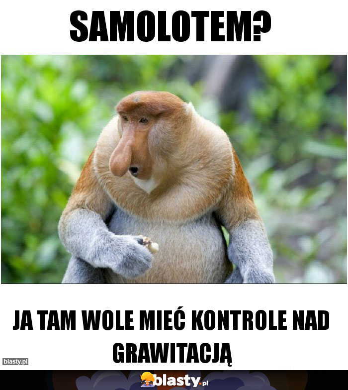Samolotem? Samolotem?