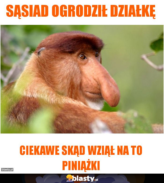 Sąsiad ogrodził działkę