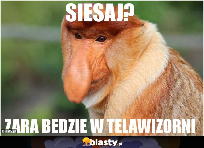 SIESAJ?