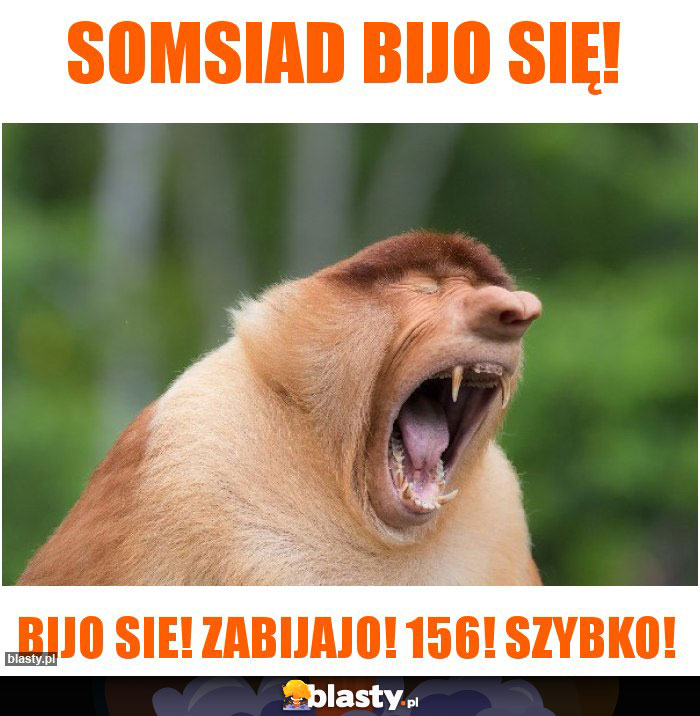 SOMSIAD BIJO SIĘ!
