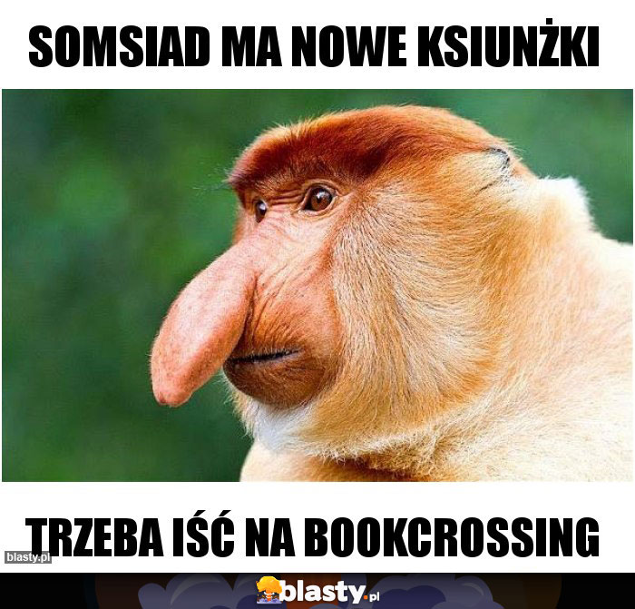 Somsiad ma nowe ksiunżki